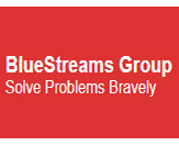 Blue Stream Texas IT services